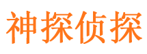 平桥市私家侦探